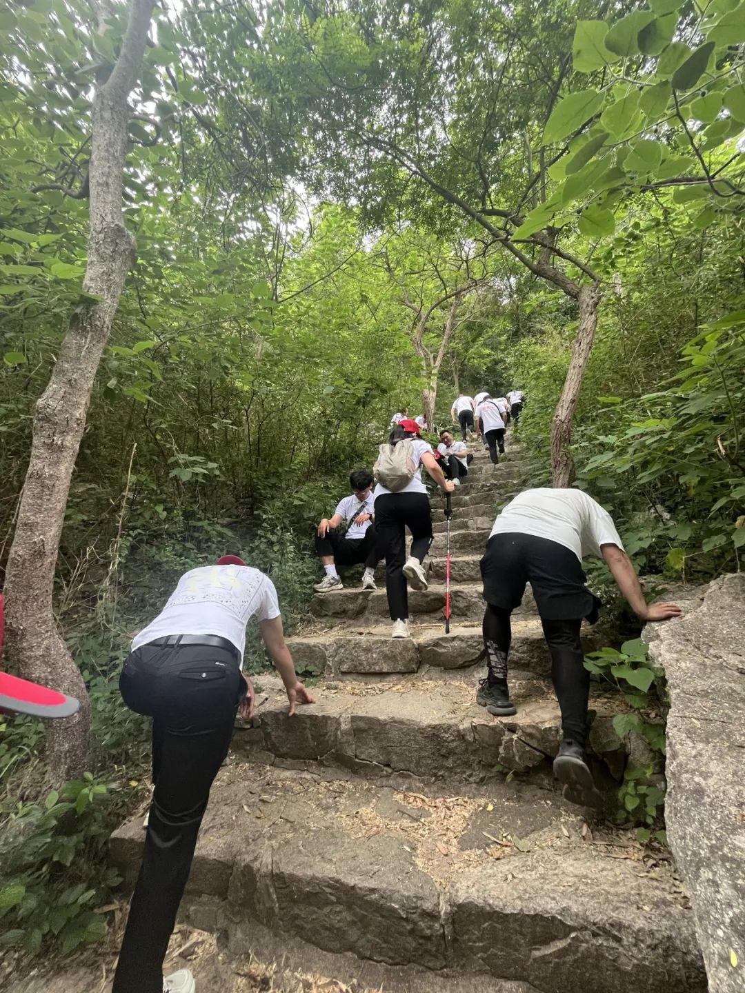 雷华杯第二届徒步登山活动圆满落幕