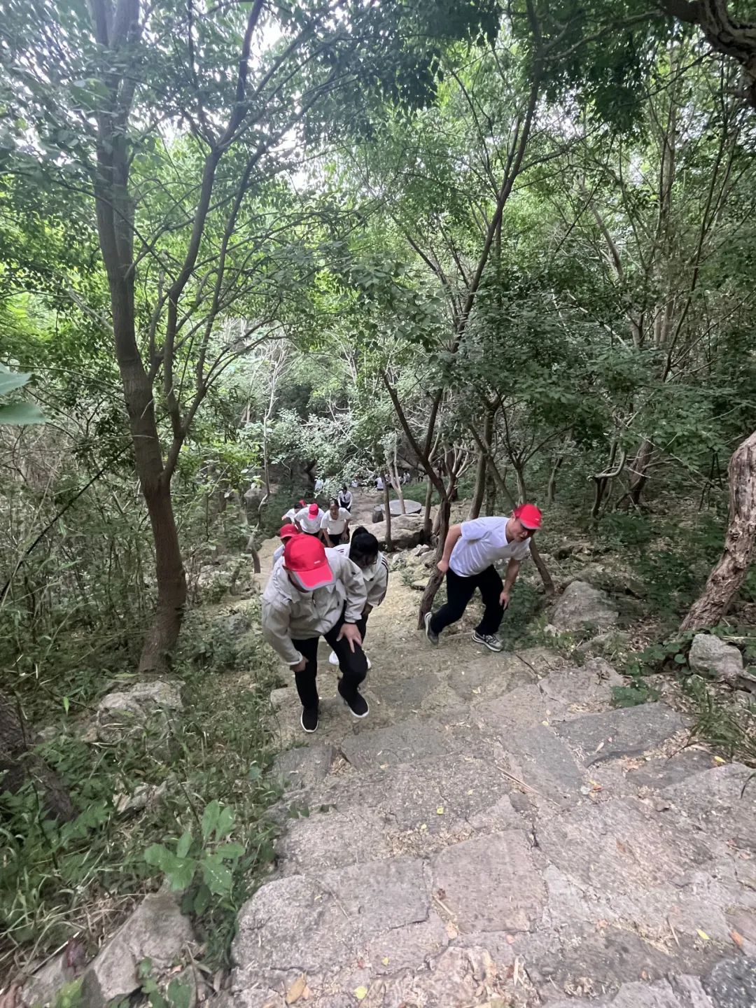 雷华杯第二届徒步登山活动圆满落幕