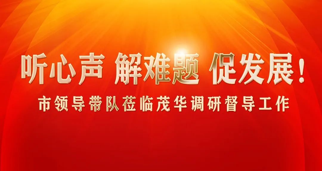 听心声 解难题 促发展！市领导带队莅临茂华调研督导工作